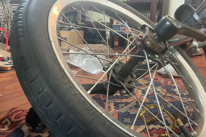 Photo on 6-30-25 at 12.47 PM