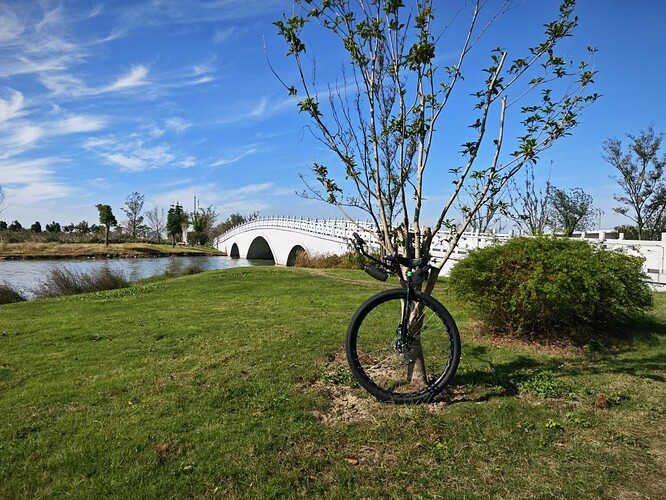 dfcf22b8165426aef8e3d966d4b230e