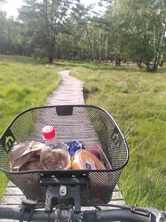 IMG_20230711_180042