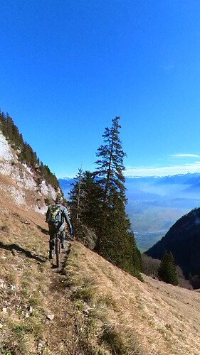 Snapshot_20230107_130100 (2)