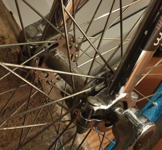 Screenshot_20240201-223029_Gallery