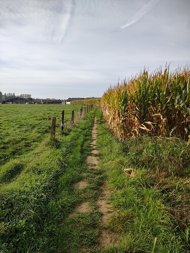 IMG_20211018_111329567