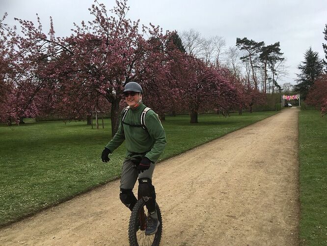 Cherry-blossom-sceaux