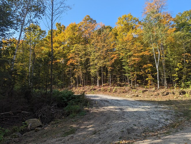 PXL_20230923_141344663