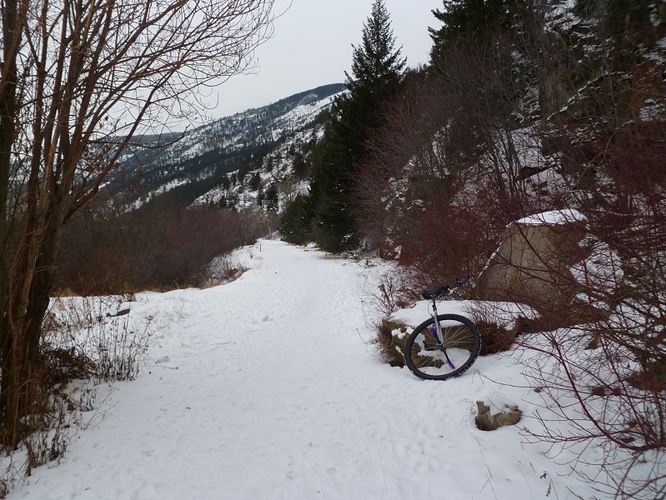 P1000231sm.jpg