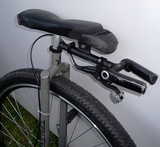 P1110433- crop.jpg