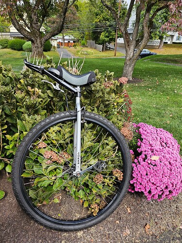 17586443943187754295969565605507