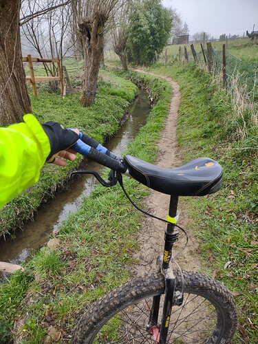 IMG_20220327_094738163