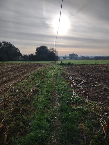 IMG_20211018_100618058