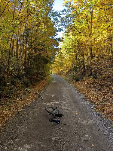 PXL_20221011_150325123