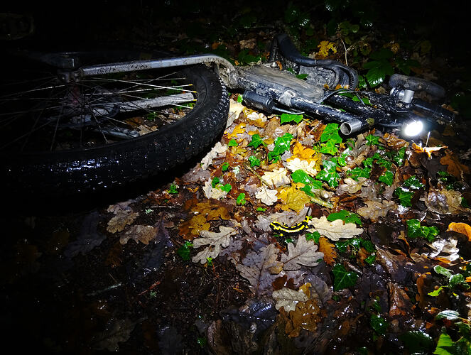 IMG_20251208_204041535