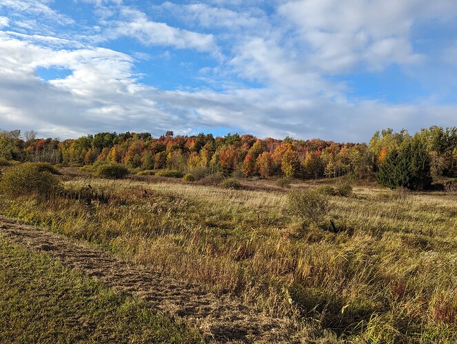 PXL_20231014_204609075