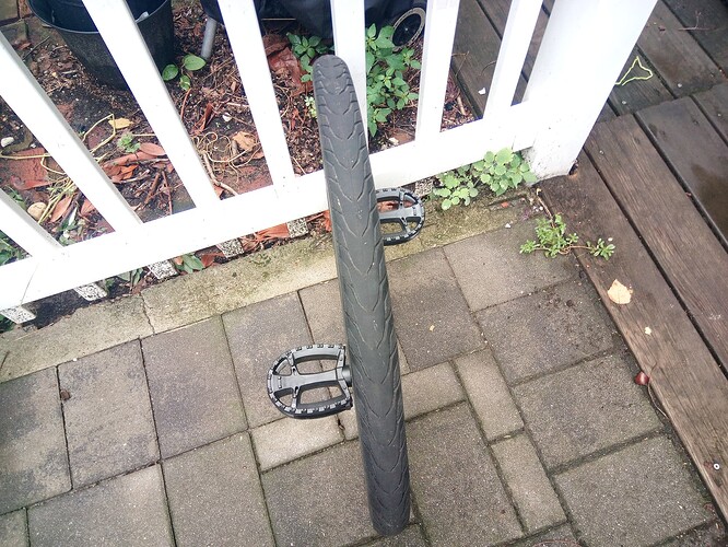 IMG_20240818_104549_838