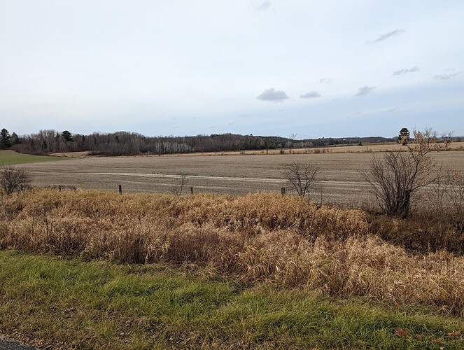 PXL_20221111_180556297