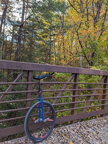 PXL_20231017_210406008