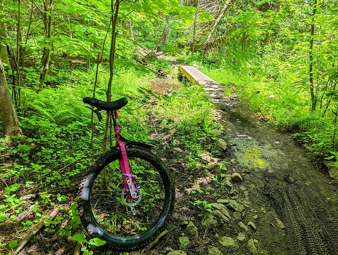 PXL_20220611_173949320~3