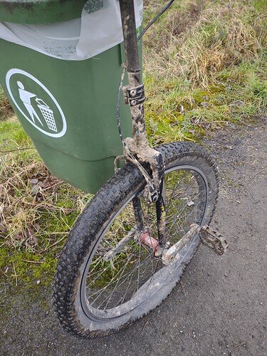 IMG_20220203_101625103