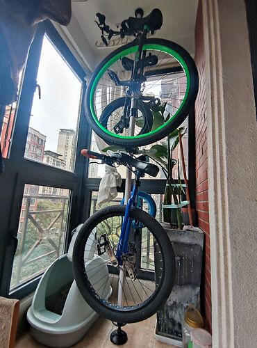 MVIMG_20230202_094256