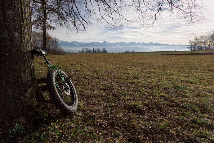 TG601469_raw_02_900x