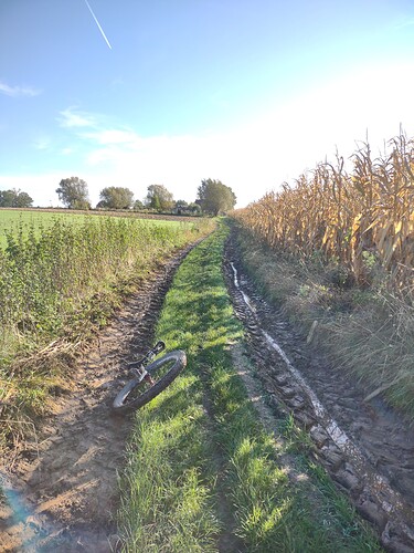 IMG_20211022_112306315