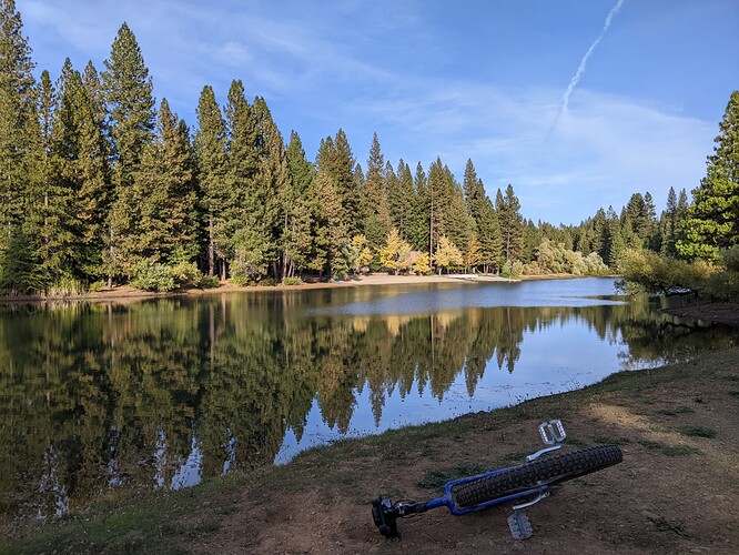 PXL_20221029_232855428