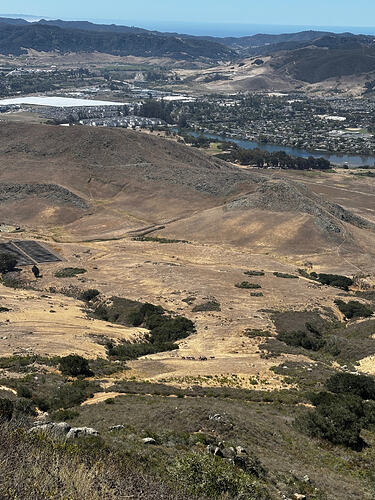 IMG_6089