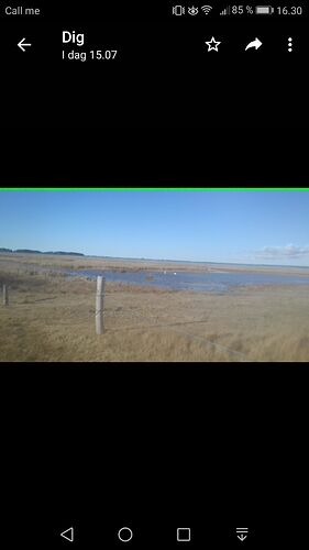 Screenshot_20210305-163028