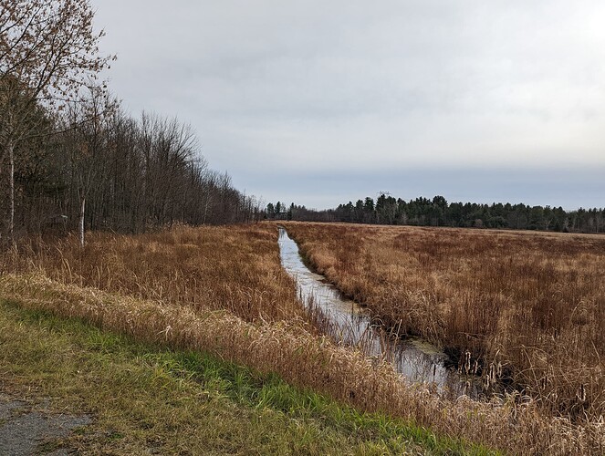 PXL_20221111_165044866