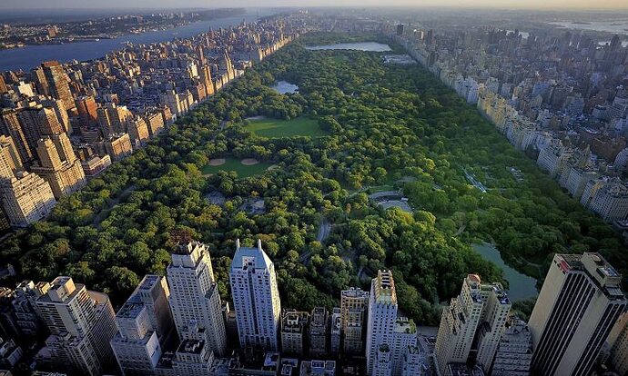 CENTRAL PARK Top-of-the-Rock-2-768x461
