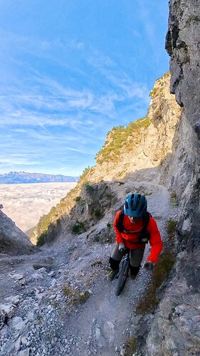 Snapshot_202411314_131166