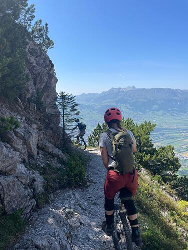 d9530ba1-d76a-4257-bd38-f05a35a55703