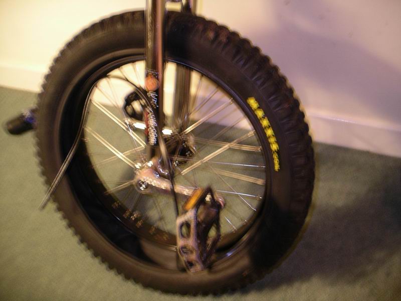 Resize of IMGP0151.JPG