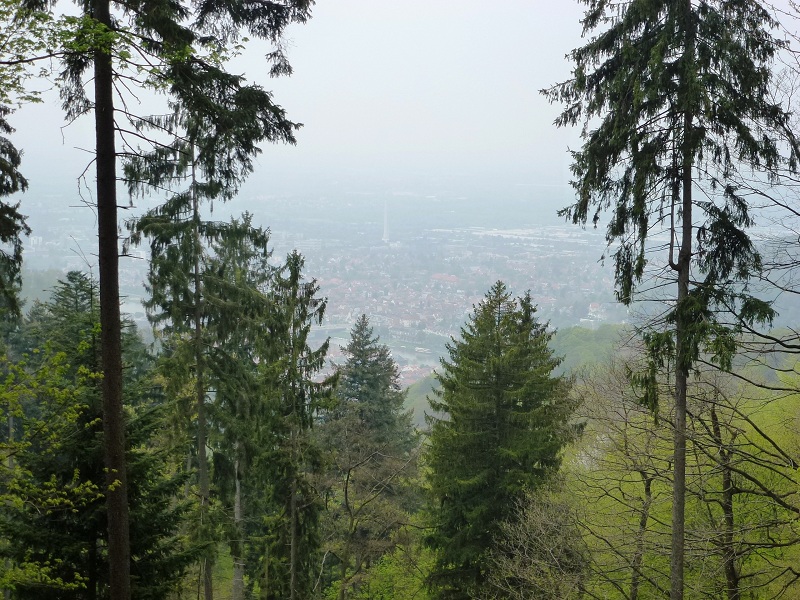 P1060303 - Kopie.JPG