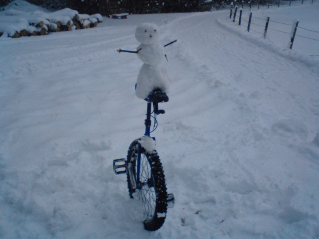 DSC00308.JPG