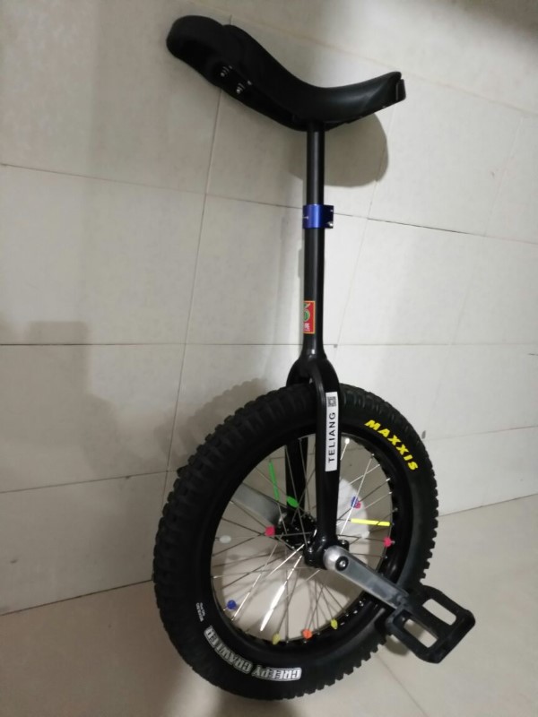 Teliang Unicycle (Custom).jpg