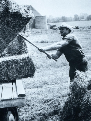 hay.jpg