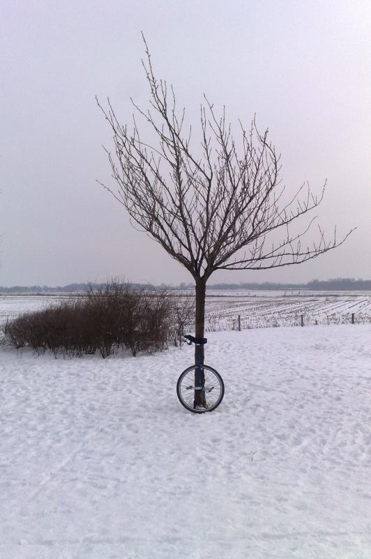 24012010259.jpg