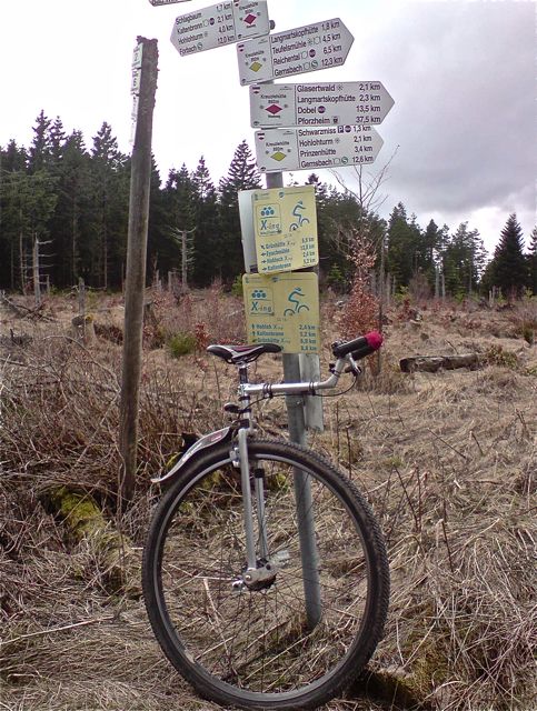 P290310_15.jpg