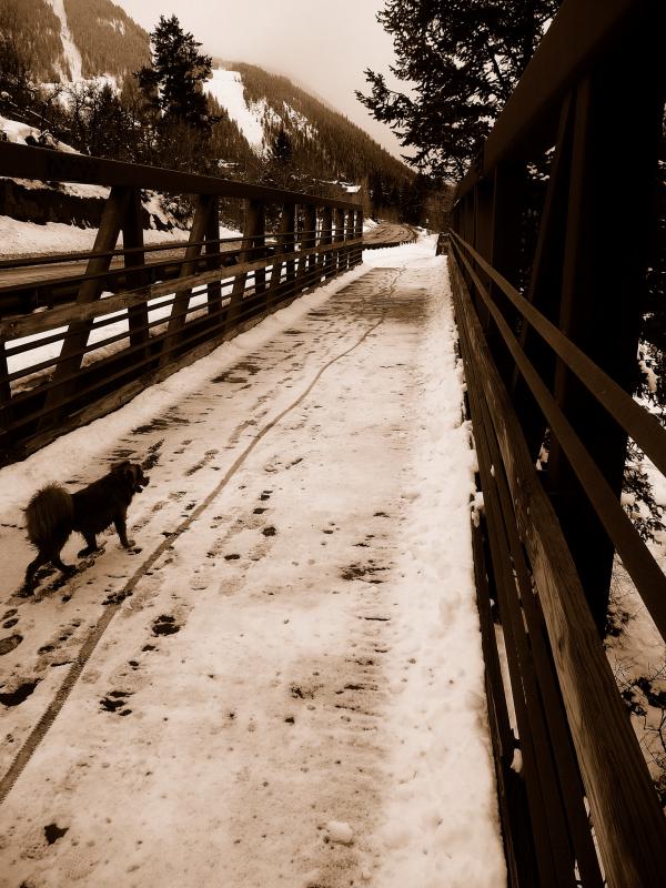 paco on foot bridge001.jpg