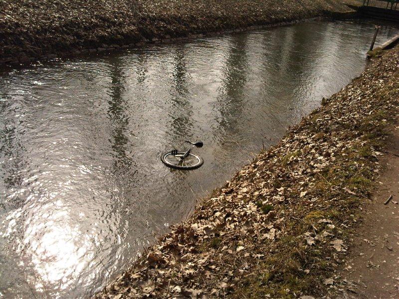 und es schwimmt.jpg