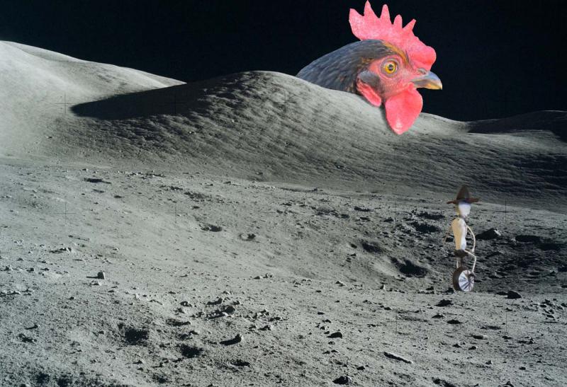 space_chicken copy.jpg
