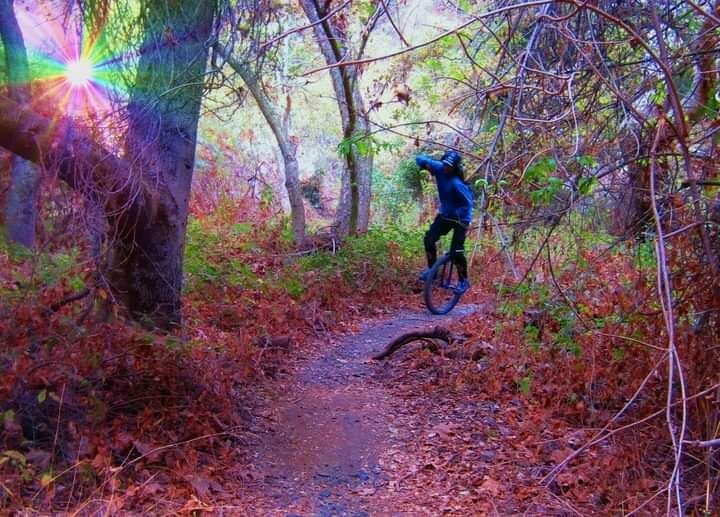 FB_IMG_16339898288598222