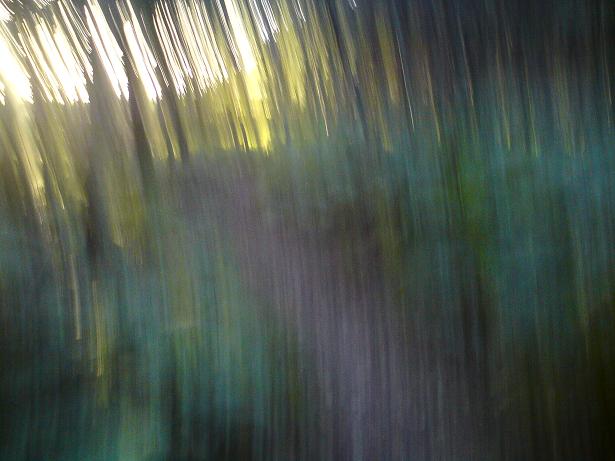 Blur.jpg