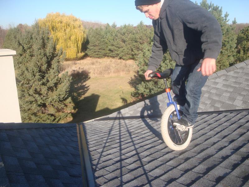 PLanking roof 006.jpg