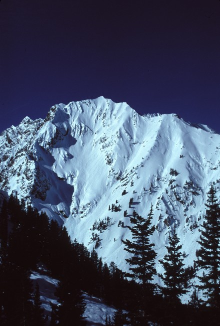 37840.jpg