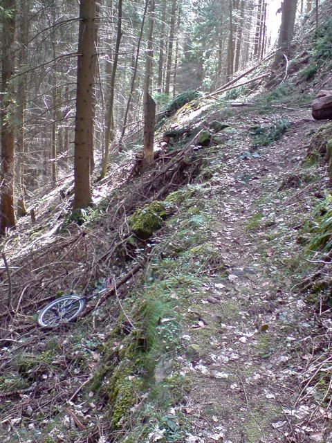 P310310_11.jpg