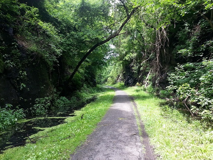 Little Falls NY Canyon 2.jpg