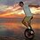 lwhansen